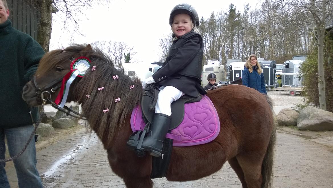 Anden særlig race Lille My billede 41