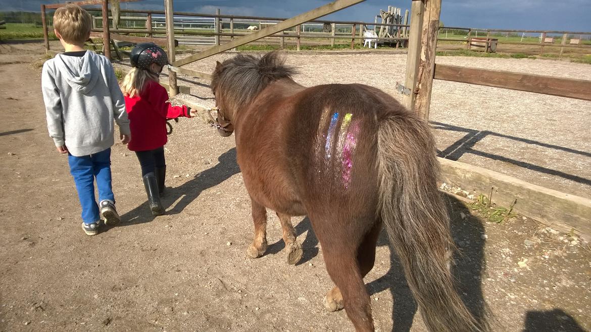 Anden særlig race Lille My billede 45