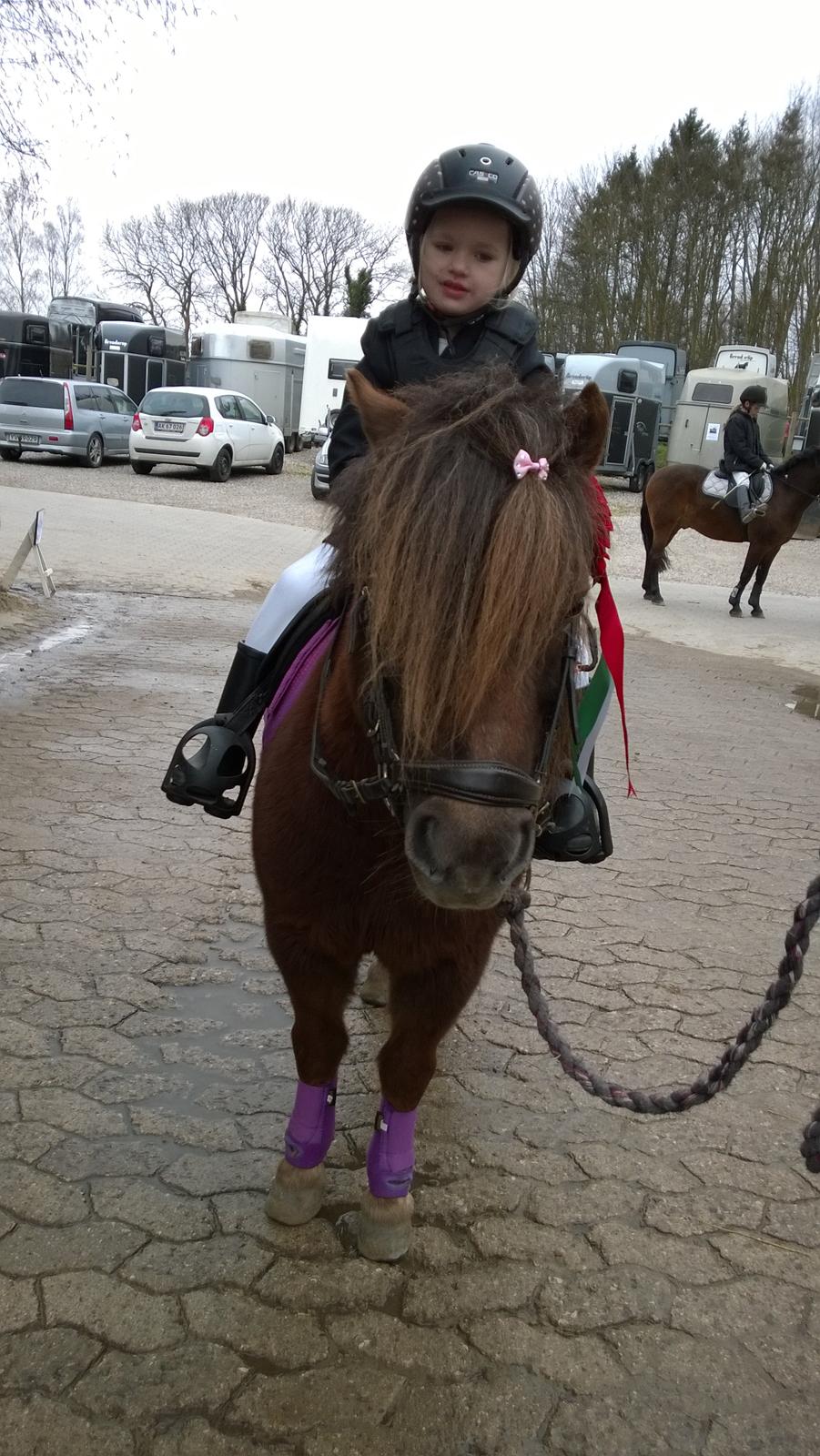 Anden særlig race Lille My billede 35