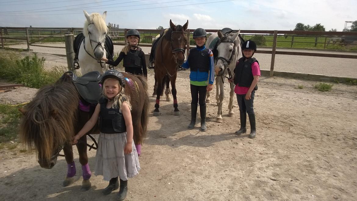 Anden særlig race Lille My billede 47