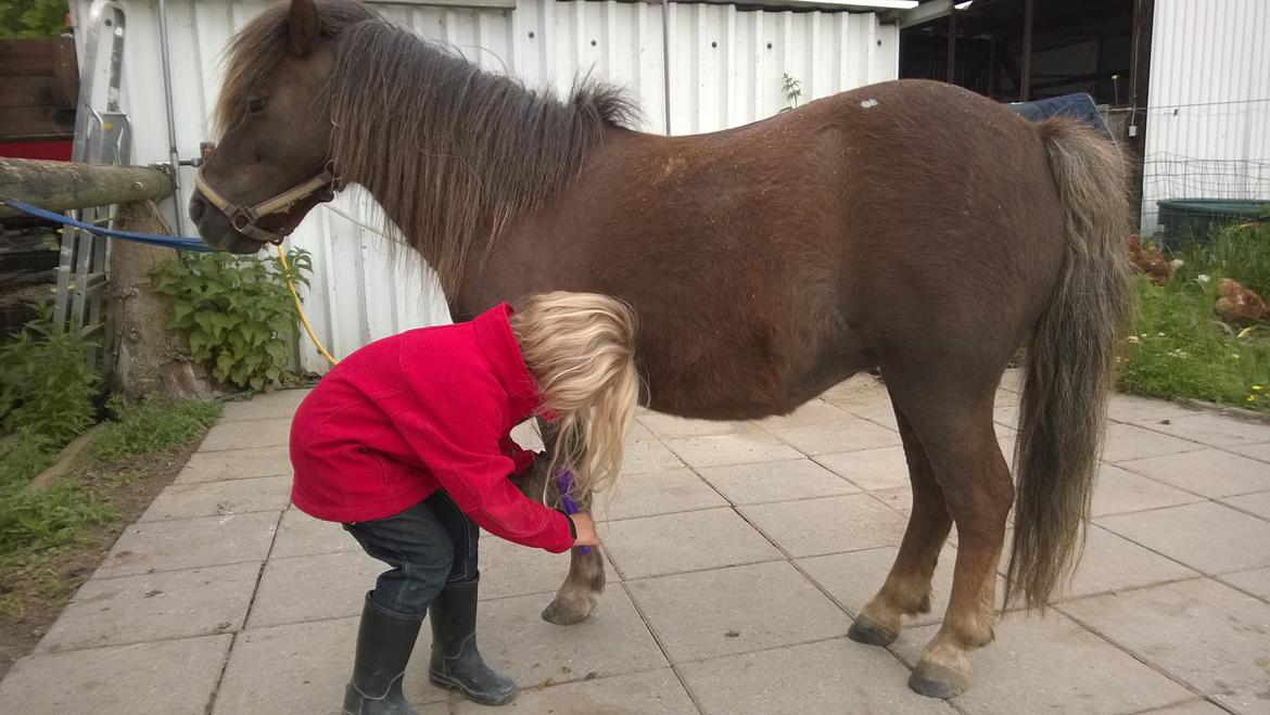 Anden særlig race Lille My billede 48