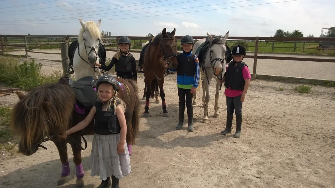 Anden særlig race Lille My billede 46