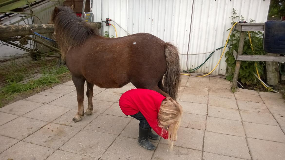 Anden særlig race Lille My billede 50