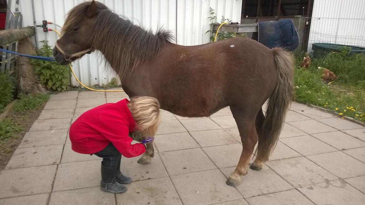 Anden særlig race Lille My billede 49