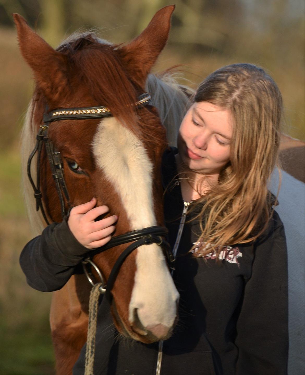 Anden særlig race Hope Silverstar billede 16