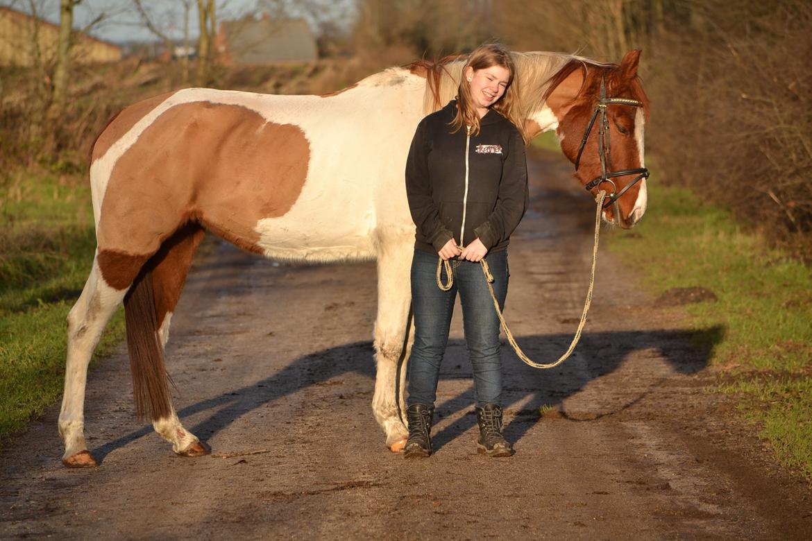 Anden særlig race Hope Silverstar billede 19