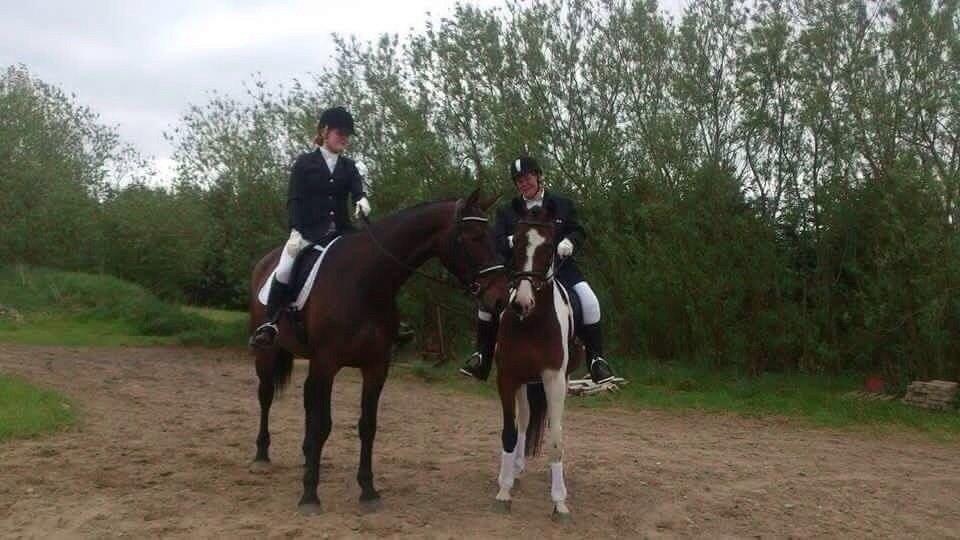 Anden særlig race Refsgaards Mon´Cheri. SOLGT billede 14