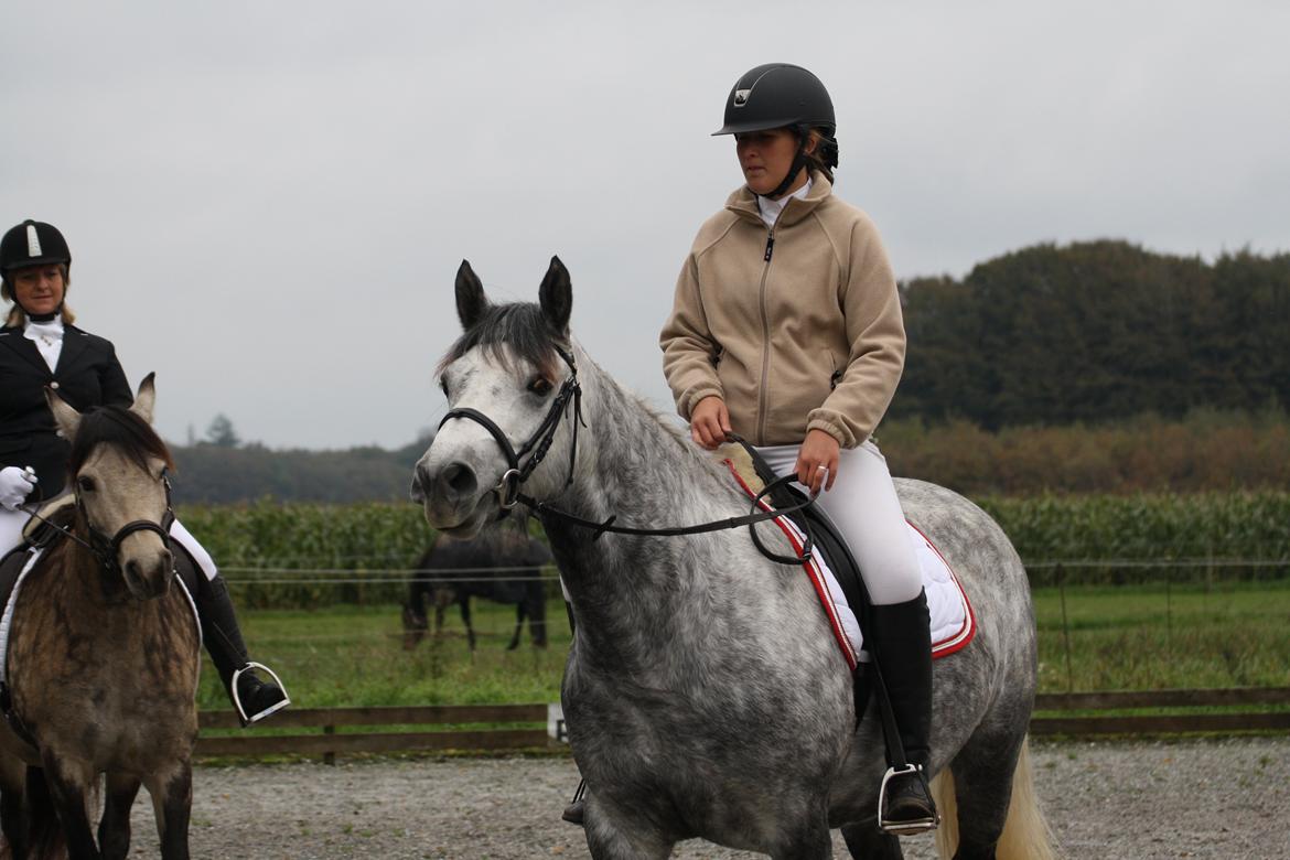 Connemara Egelunds syren billede 5