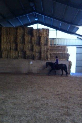 Connemara Claire[Tidl. Part] billede 4