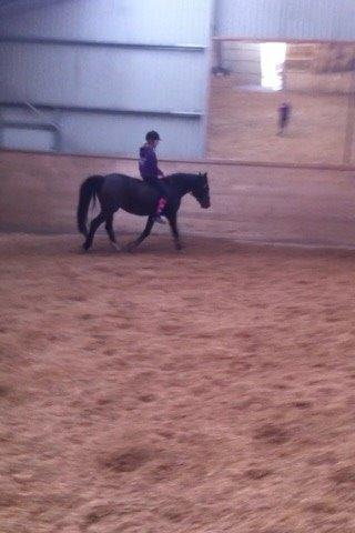 Connemara Claire[Tidl. Part] billede 5