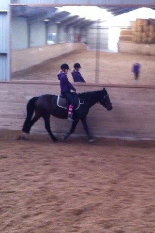 Connemara Claire[Tidl. Part] billede 6