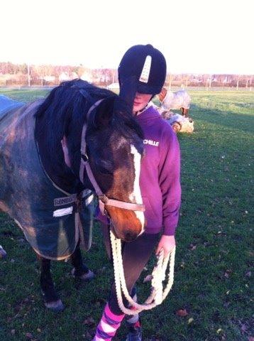 Connemara Claire[Tidl. Part] billede 7