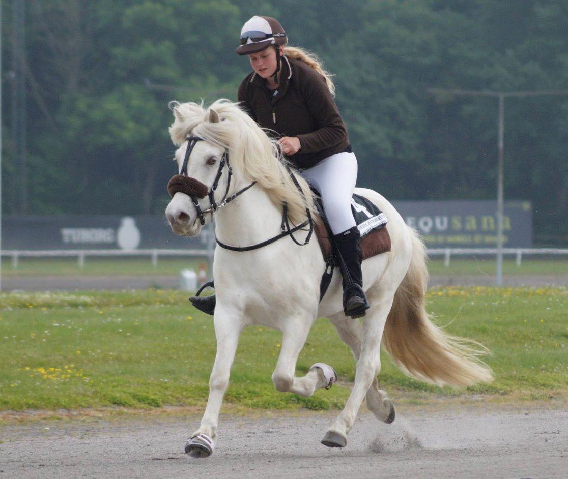 Islænder Ljómi fra Egeballegaard billede 18