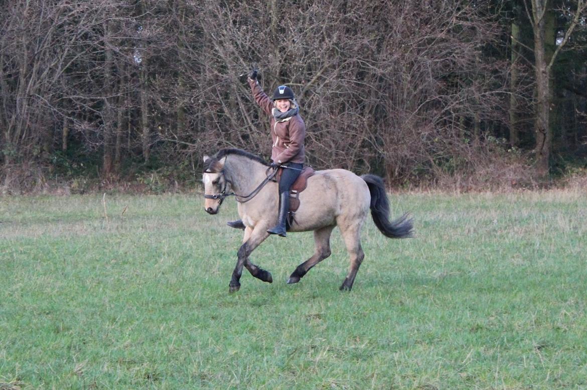 DSP Toojour (Tut) - Ren glæde på tur! billede 14