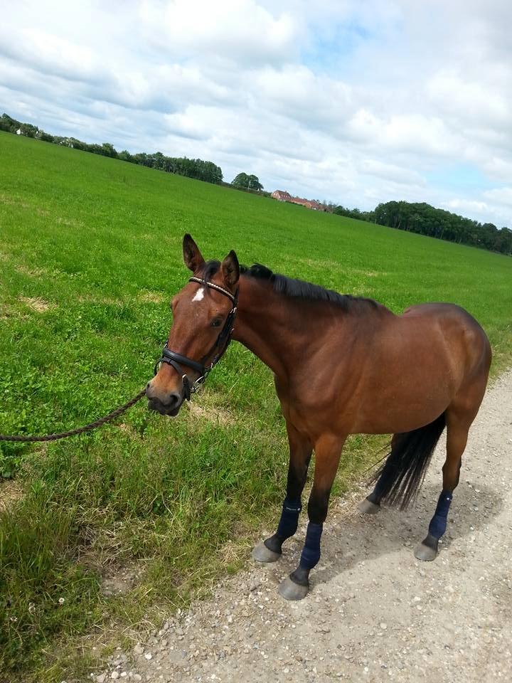 Traver we ca do it  billede 1