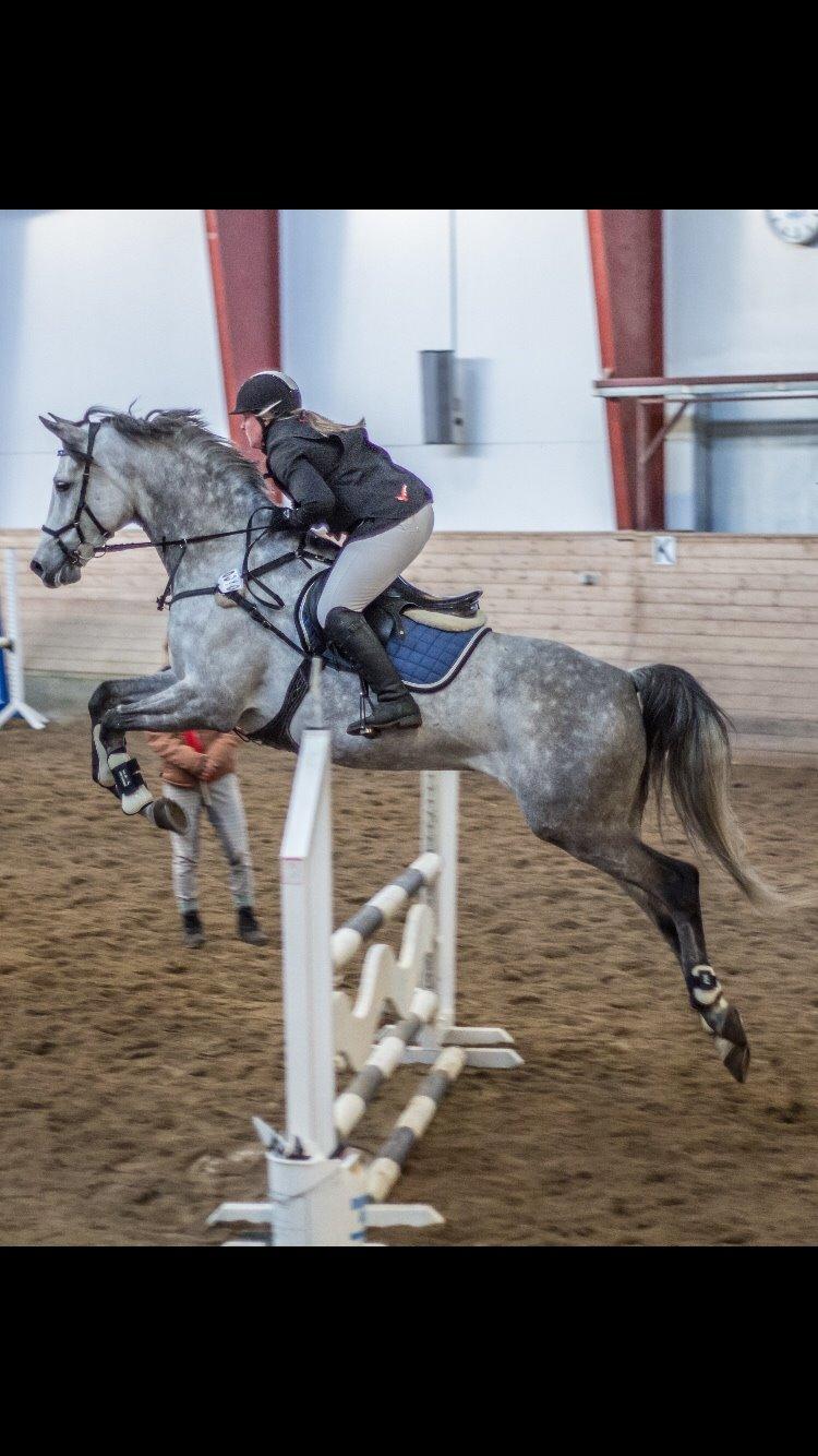 Anden særlig race Simpson billede 6