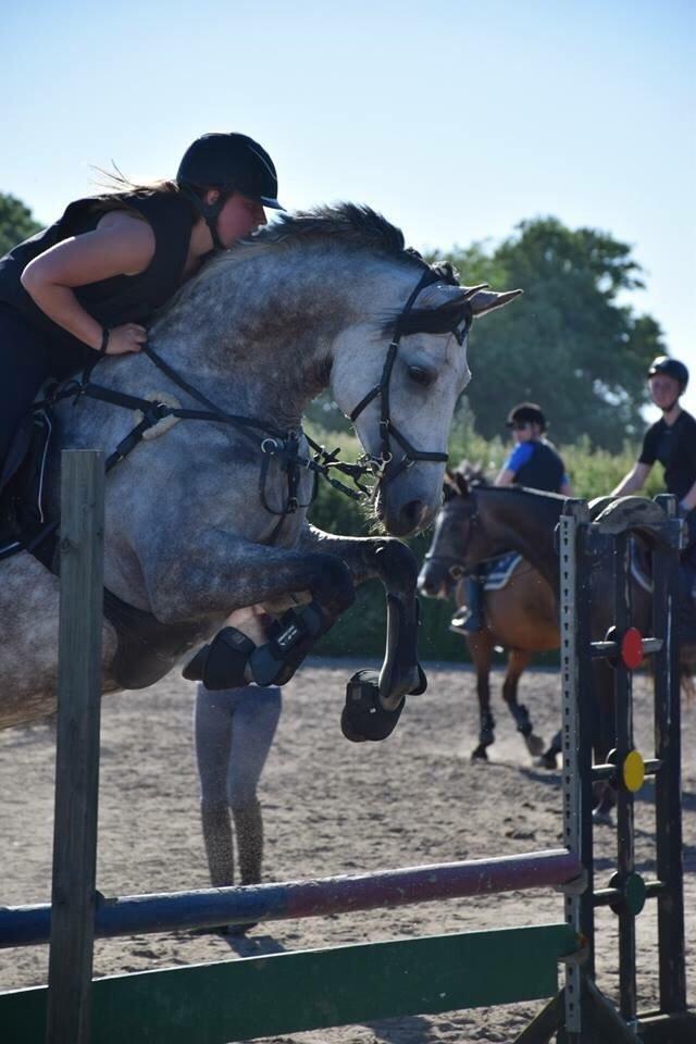 Anden særlig race Simpson billede 19