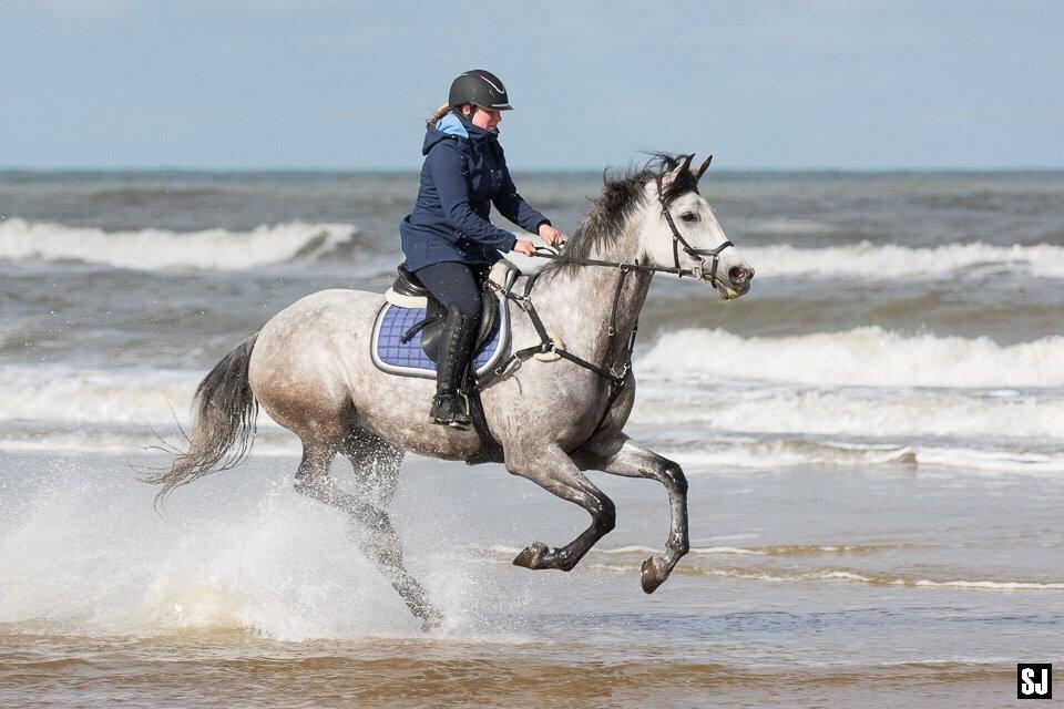 Anden særlig race Simpson billede 18