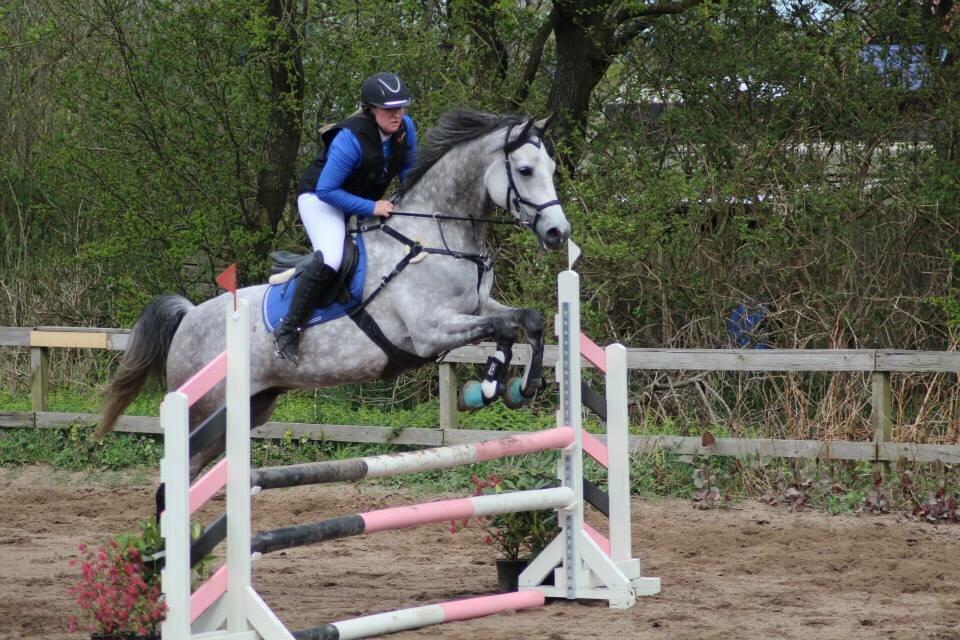 Anden særlig race Simpson billede 14