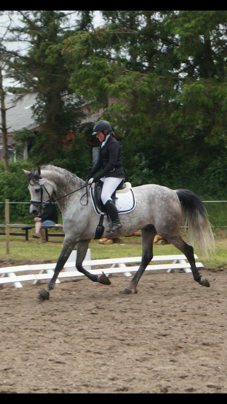 Anden særlig race Simpson billede 16