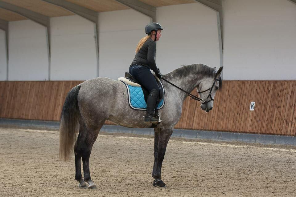 Anden særlig race Simpson billede 17