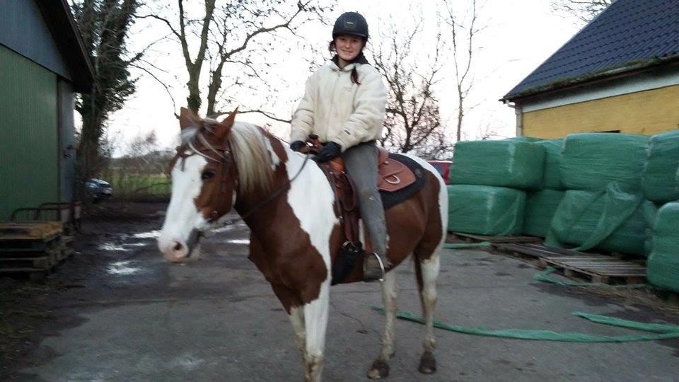 Pinto Ducati - Første ridetur med westernudstyr. super god tur! :-) billede 5