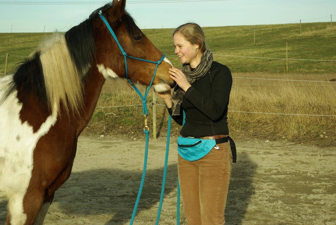 Pinto Prinsesse Padmé billede 1