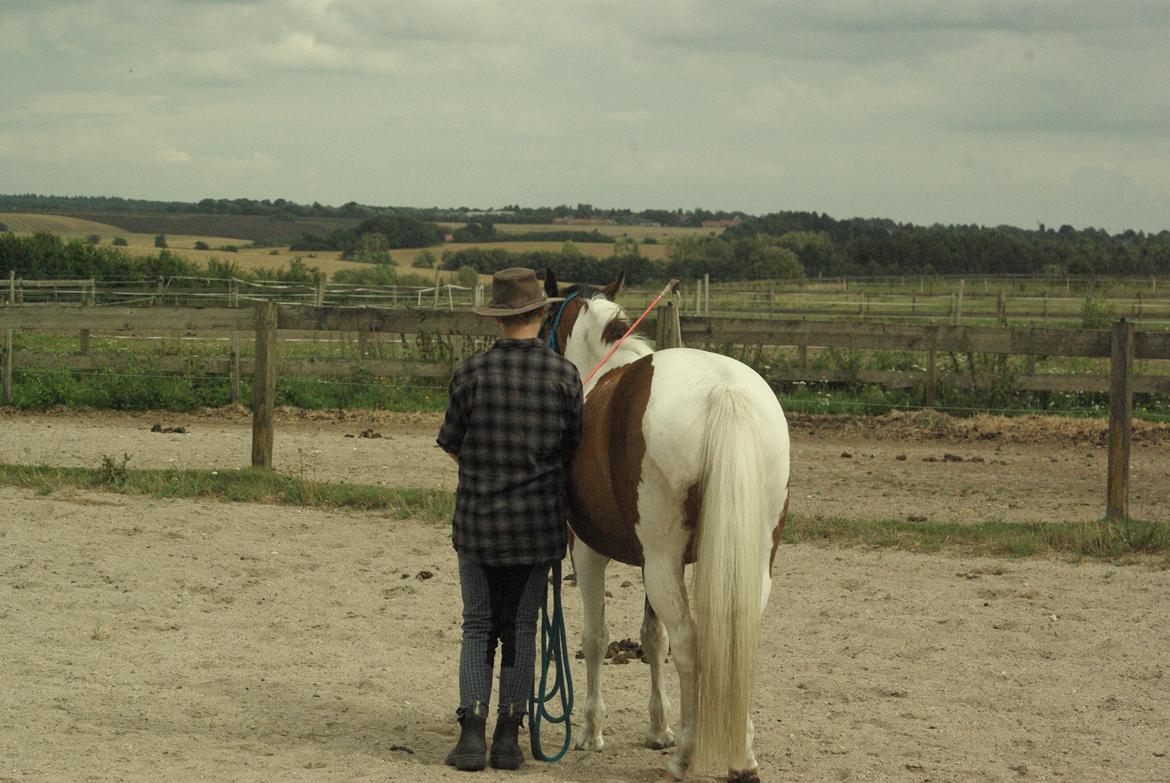 Pinto Prinsesse Padmé billede 10