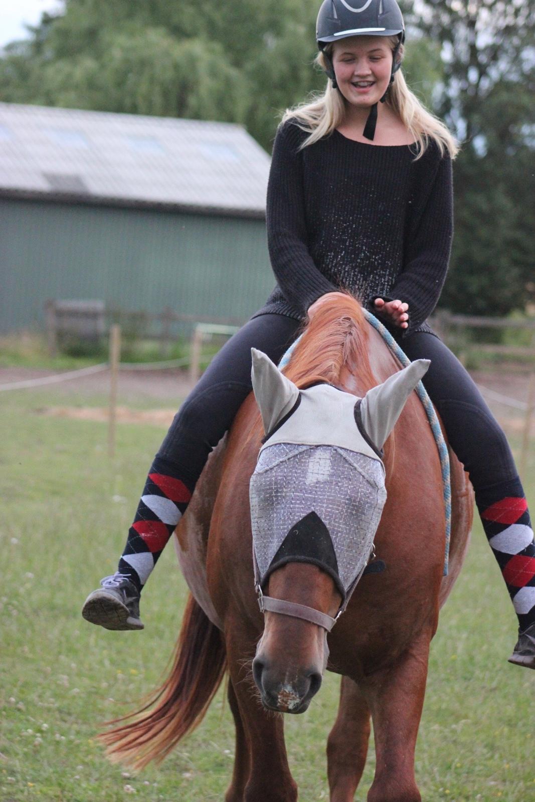 Frederiksborg Kanto a bjældsø billede 7