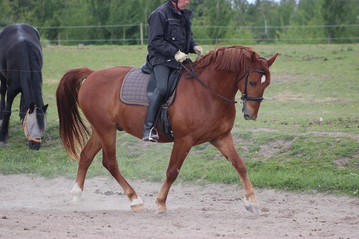 Frederiksborg Kanto a bjældsø - Kanto og min underviser. Juni 2015 billede 11