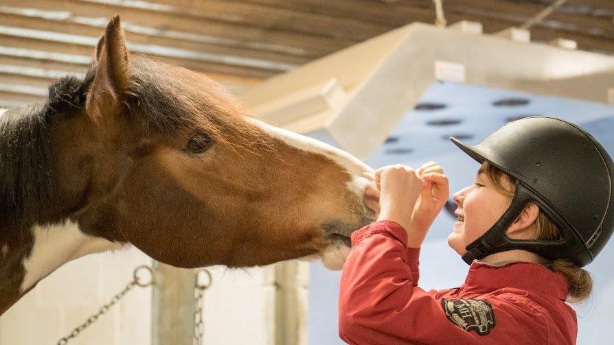 Anden særlig race Felix (springer på) - Kys. Han er skøn, billede 28