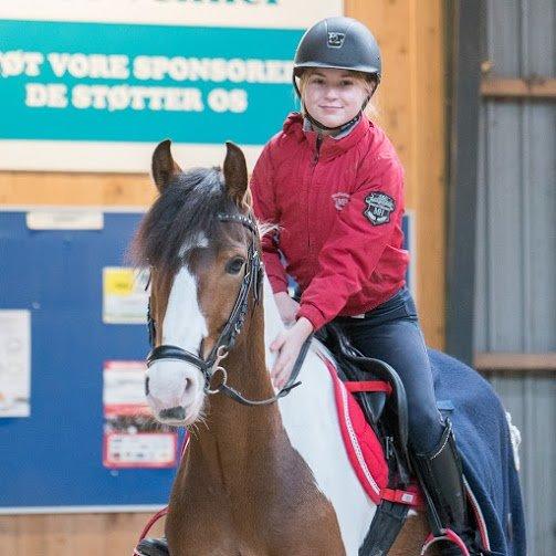 Anden særlig race Felix (springer på) - Mig og Felix. billede 30