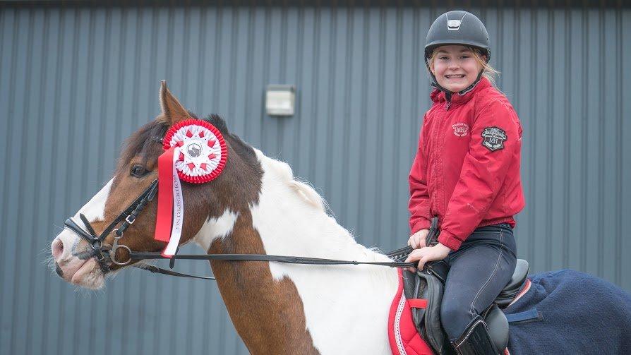 Anden særlig race Felix (springer på) - Efter højdesping hvor vi sprang 130 cm. billede 35