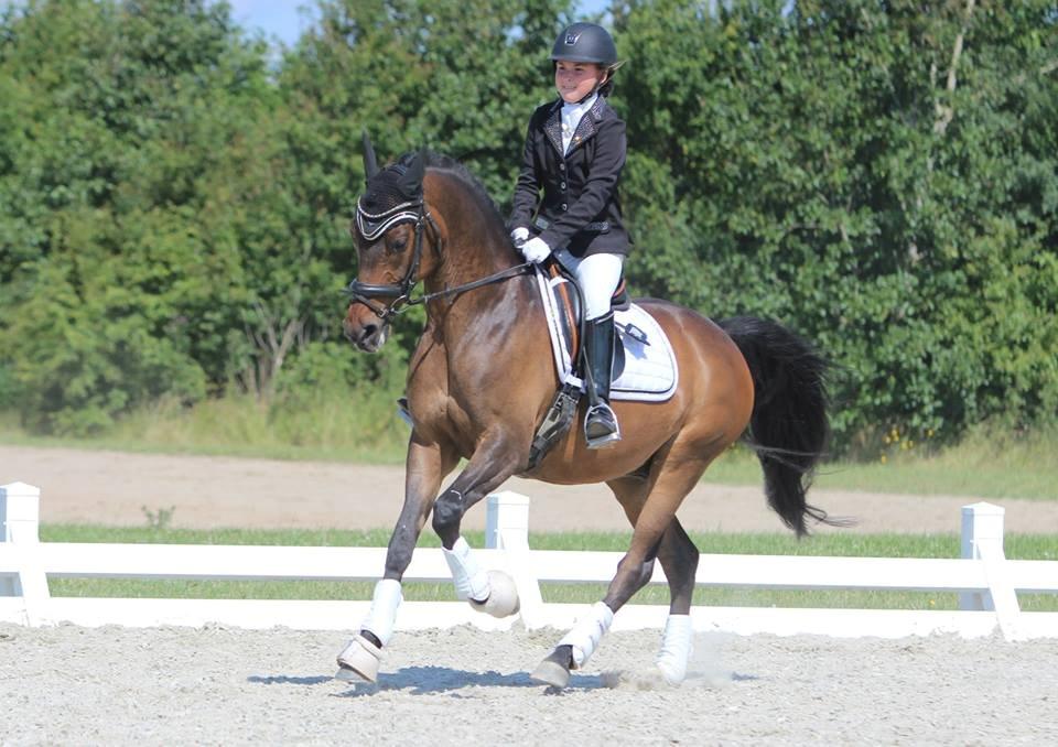 DSP Klintens duke - LB1 sommeren 2015. billede 11