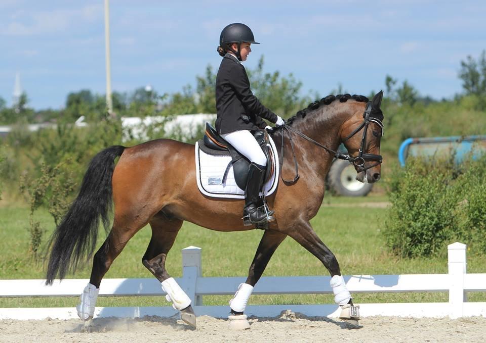 DSP Klintens duke - LB1 sommeren 2015 billede 12