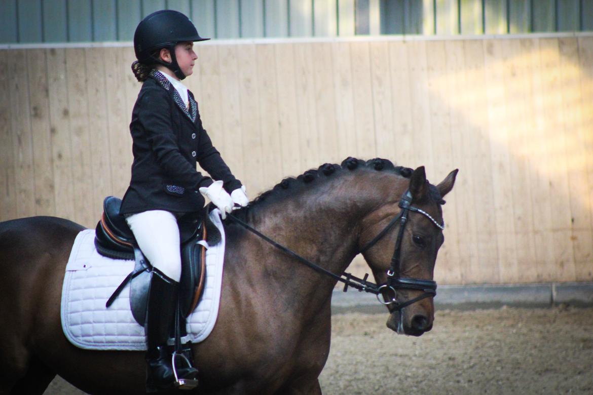 DSP Klintens duke - Forår 2015. billede 13