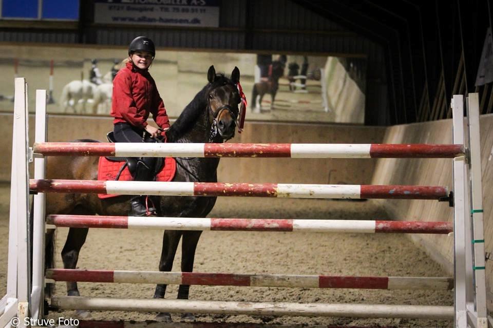 DSP Klintens duke - Duke bagved trippelbarren på 140 cm.  billede 20