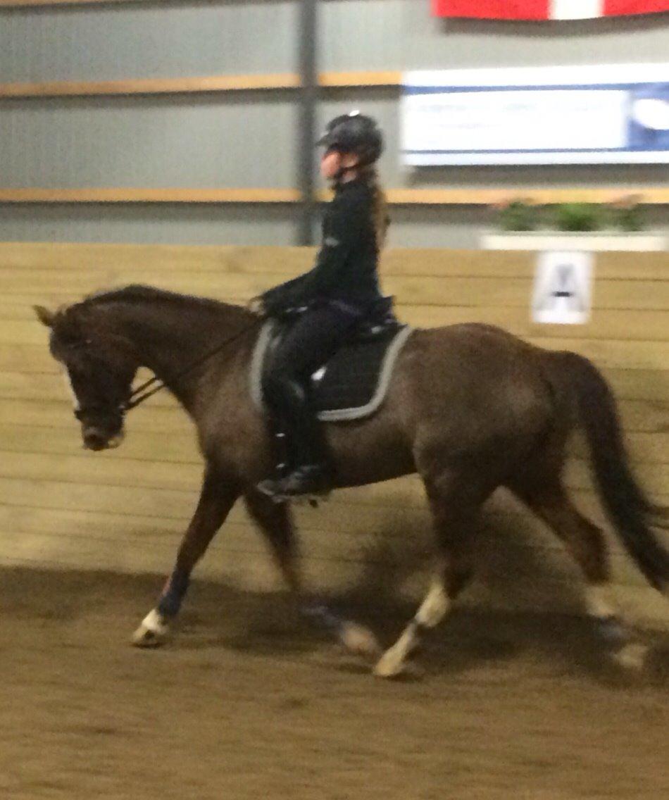 DSP Carla damgård billede 10