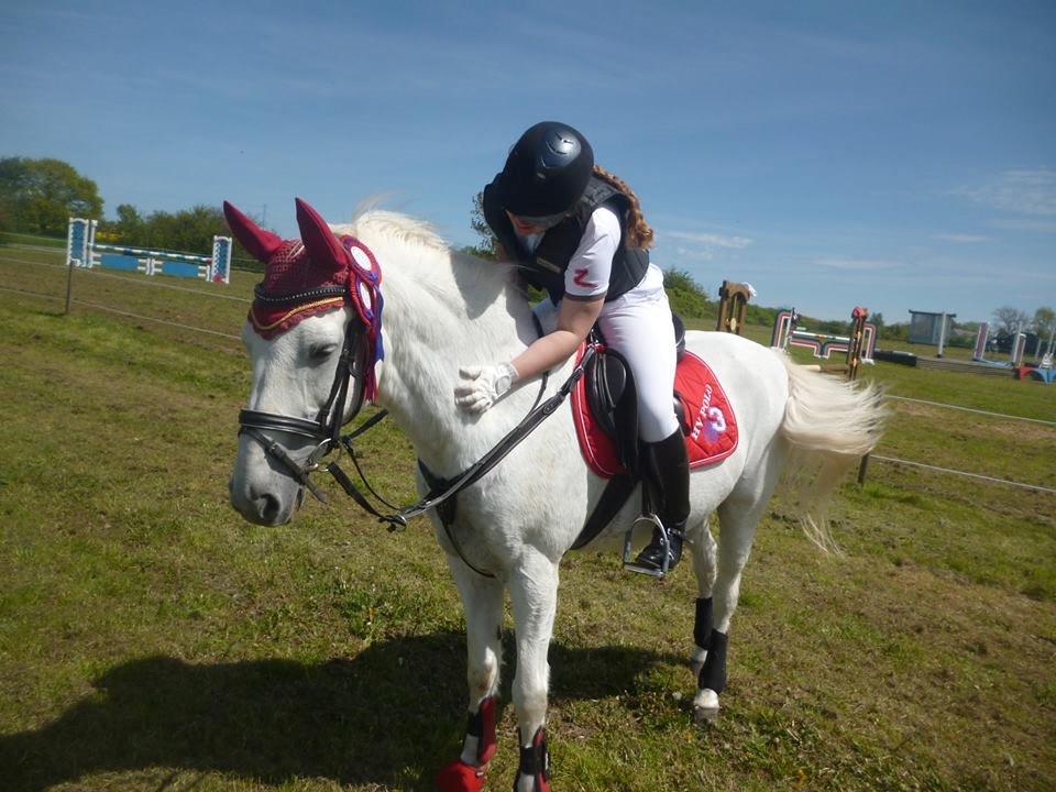 New Forest Roland *Savnet* billede 1