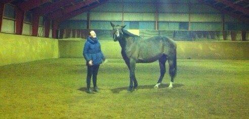 Traver Quiz billede 16