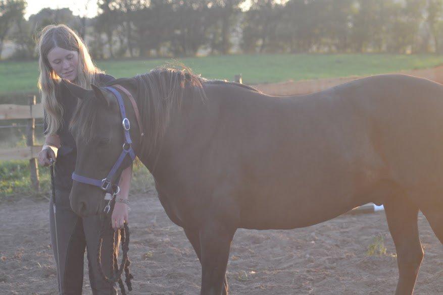 Anden særlig race Blackie billede 3