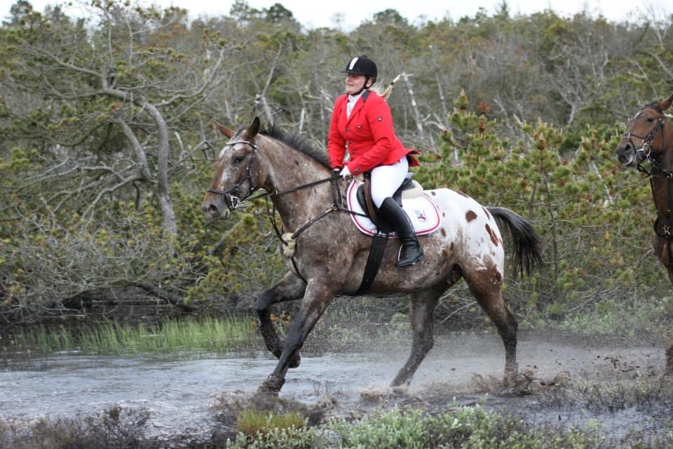 Knabstrupper Menja tofthøj billede 2