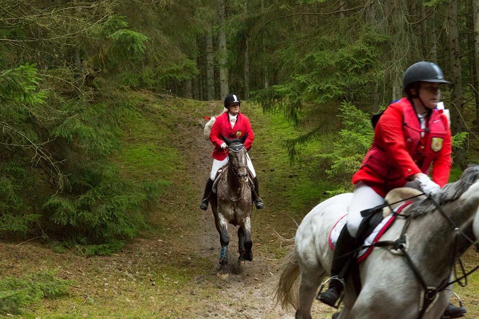 Knabstrupper Menja tofthøj billede 18