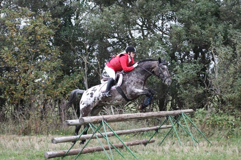 Knabstrupper Menja tofthøj billede 1