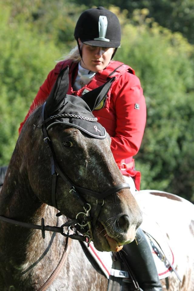 Knabstrupper Menja tofthøj billede 22