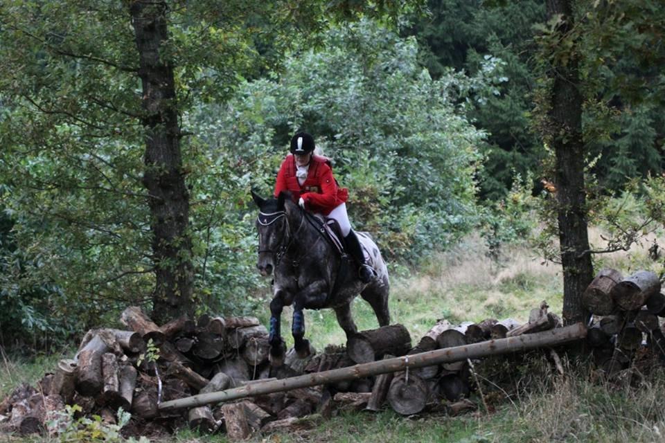Knabstrupper Menja tofthøj billede 23