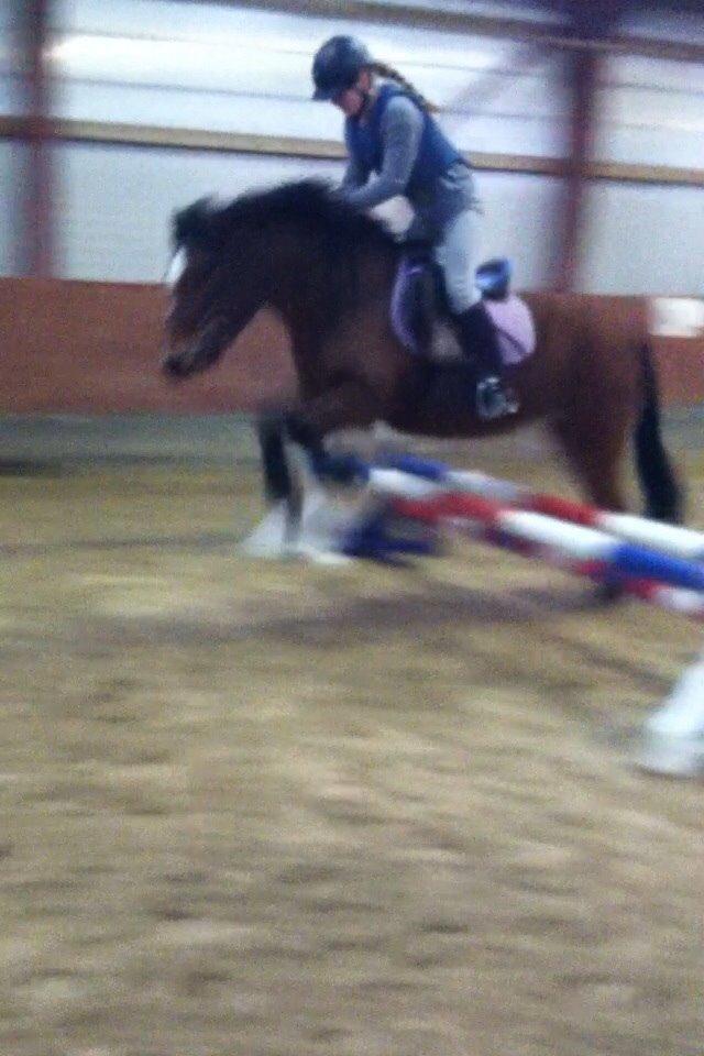 Anden særlig race Else { part } - spring 23/12-2015 billede 2