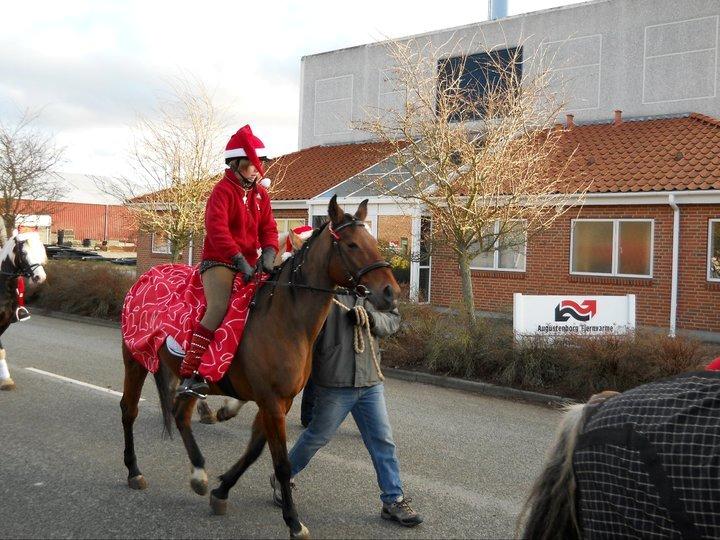 Traver Cindy Vestermarken (Aflivet) (Prinsessen<3) R.I.P billede 25