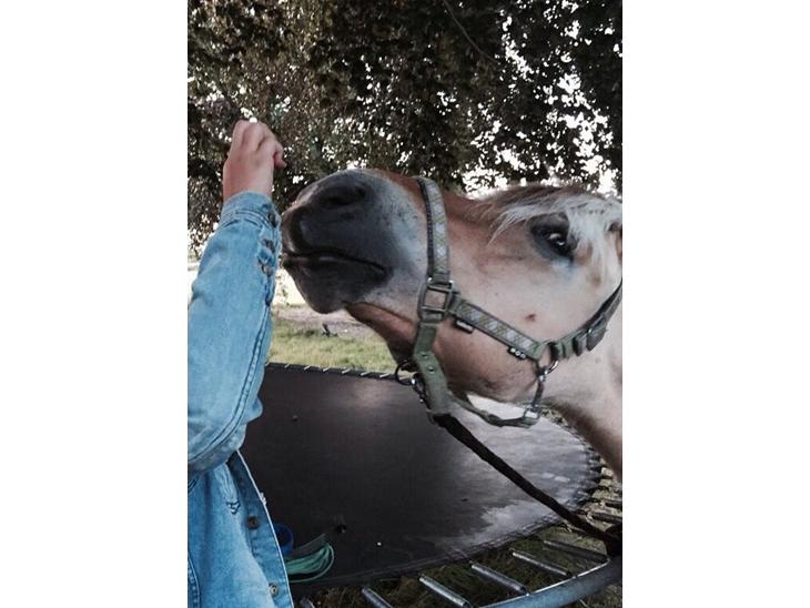 {{currentPhoto.altText}} billede {{currentPhoto.number}}