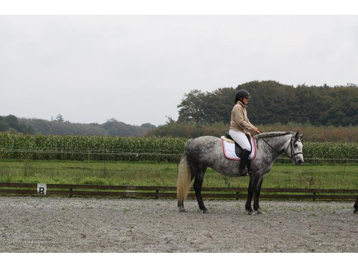 {{currentPhoto.altText}} billede {{currentPhoto.number}}